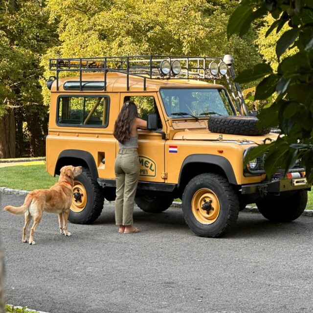 Dinner date in the jungle? Our rigs will get you there, and a second date. #cameltrophy #borneo